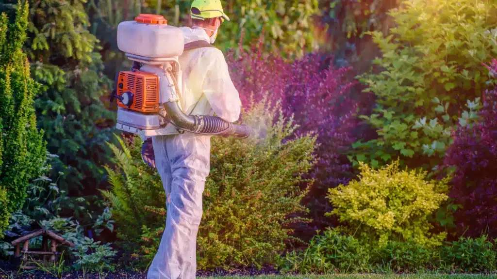 Exterminator spraying for pests