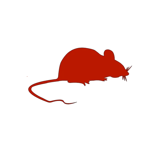 Commercial Services 2 Rodent