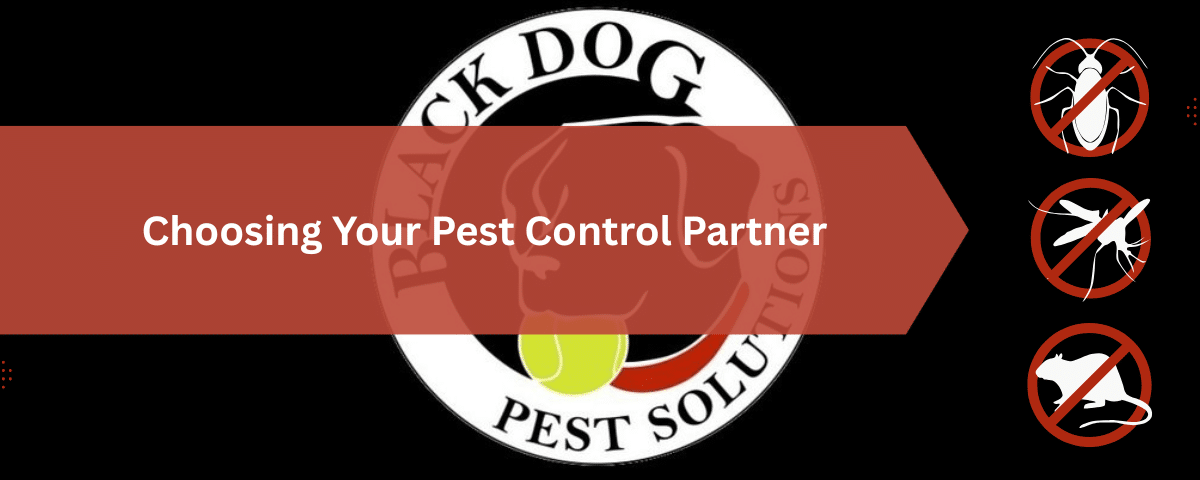 Black Dog Pest Solutions: Pest Control, Termite Treatment & Exterminator Services 5 Choosing Your Pest Control Partner