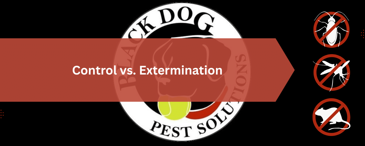 Black Dog Pest Solutions: Pest Control, Termite Treatment & Exterminator Services 2 Control vs. Extermination