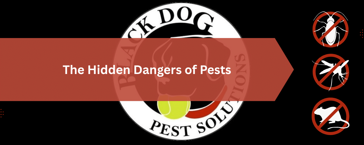 Black Dog Pest Solutions: Pest Control, Termite Treatment & Exterminator Services 3 The Hidden Dangers of Pests